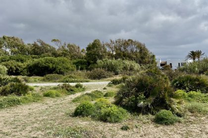 899ccc8c35cbdfec2ec93696677ab503 - 43