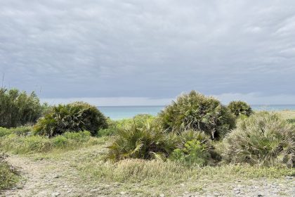 899ccc8c35cbdfec2ec93696677ab503 - 44