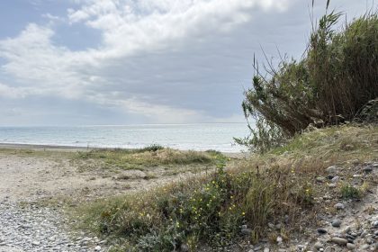 899ccc8c35cbdfec2ec93696677ab503 - 45