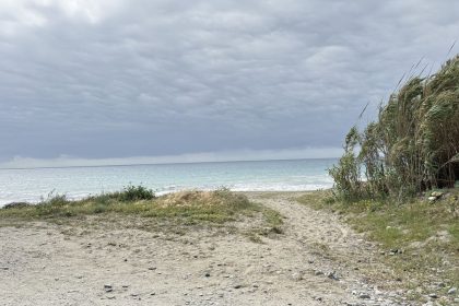 899ccc8c35cbdfec2ec93696677ab503 - 46