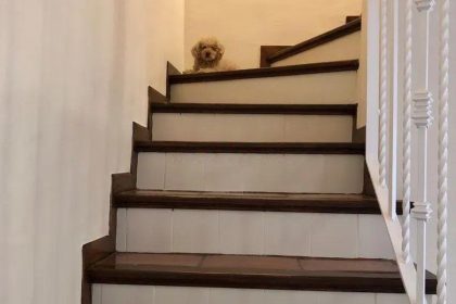 8a3e9a9d57d7399ac3a369ca1cfd3527 - 10