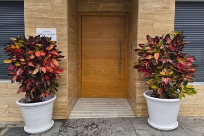 8f102475944051cbac203ed84b179177 - 7