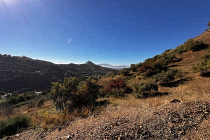 96966a0519be4ba03548c4354e1735d5 - 13