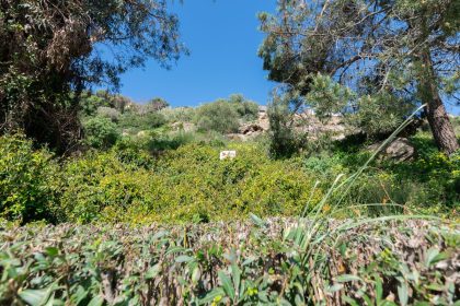 9c8137c85b1b8703da16e5b080bce202 - 44