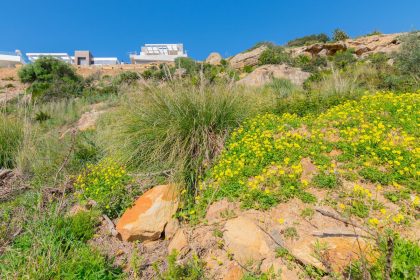 9c8137c85b1b8703da16e5b080bce202 - 49