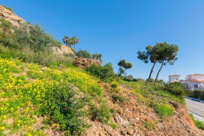 9c8137c85b1b8703da16e5b080bce202 - 51