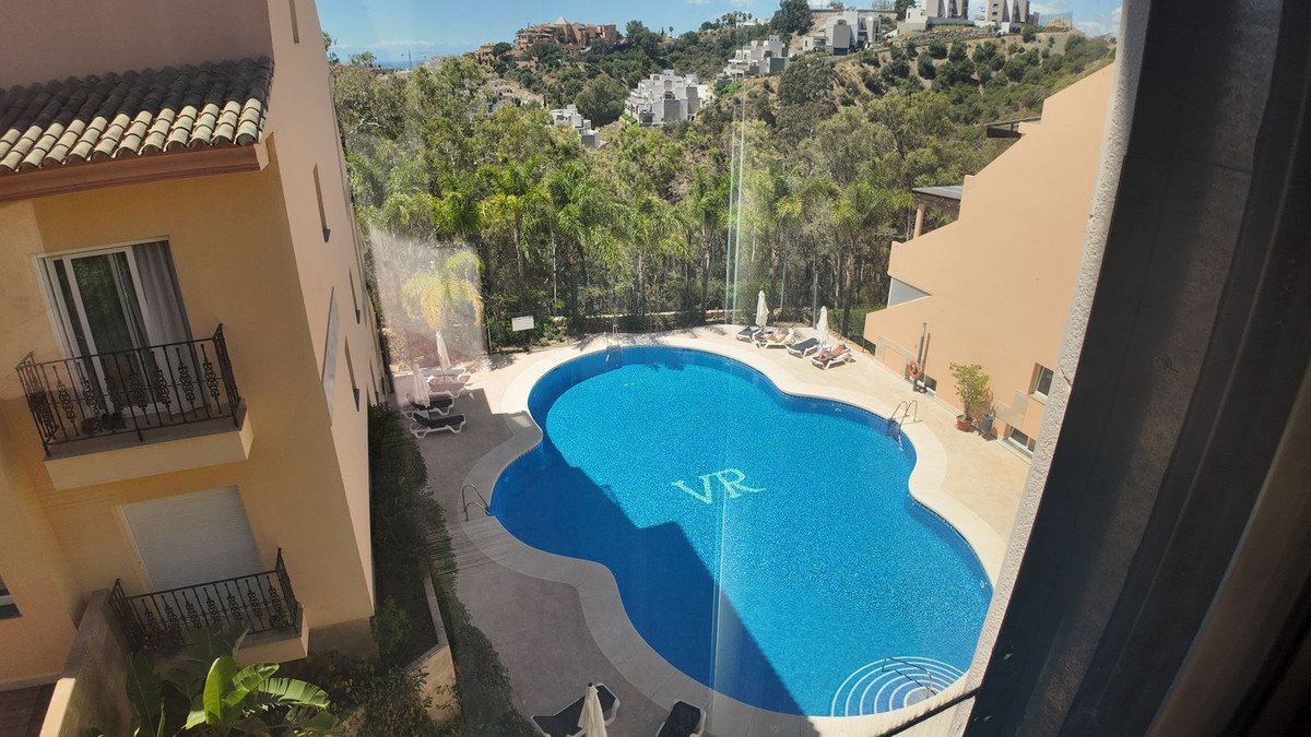 a021eb52ac826e7398a0c64e5d463200 - 31