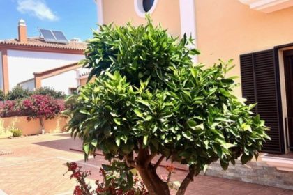 a5bd221a65f6323d89708ba7596fcf11 - 35