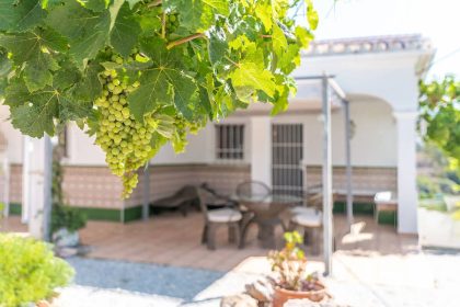 ad5b3f3f4d1d96d6bc94b7c28fb7de75 - 30