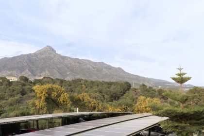 b2d4bd513e9e1e28831fb4cea131b588 - 40