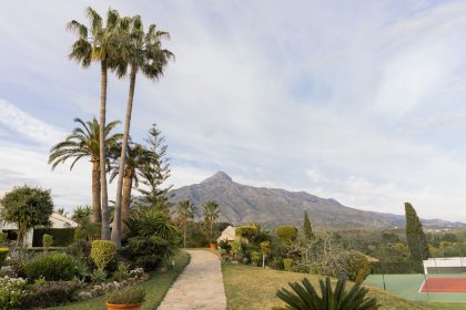 b2d4bd513e9e1e28831fb4cea131b588 - 41