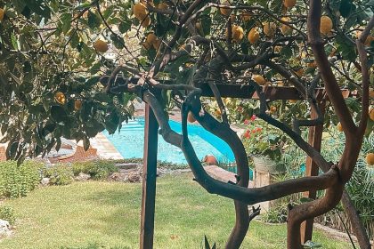 ce42604de4ecc93d0ecf72f49a0890fa - 4