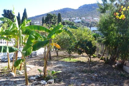 d5274000993ca5b0743c789d6b1127f2 - 60