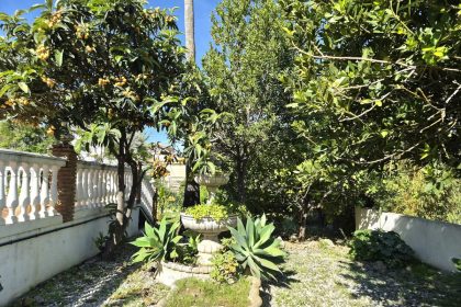 d5274000993ca5b0743c789d6b1127f2 - 66