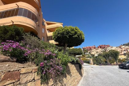 d81b6a14eb8a4ae12114a98a4e22bd12 - 34