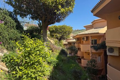 d81b6a14eb8a4ae12114a98a4e22bd12 - 35