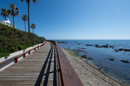 daded04b507a3f5ce268dd48afcbc580 - 41