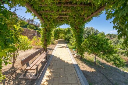 dbec1c5f3ebd11f950f32ca75c160053 - 24