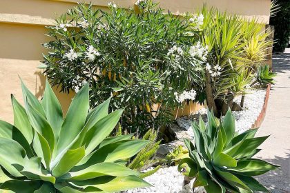 e14e0b1a2fddd02b482245c8229ee7a4 - 26