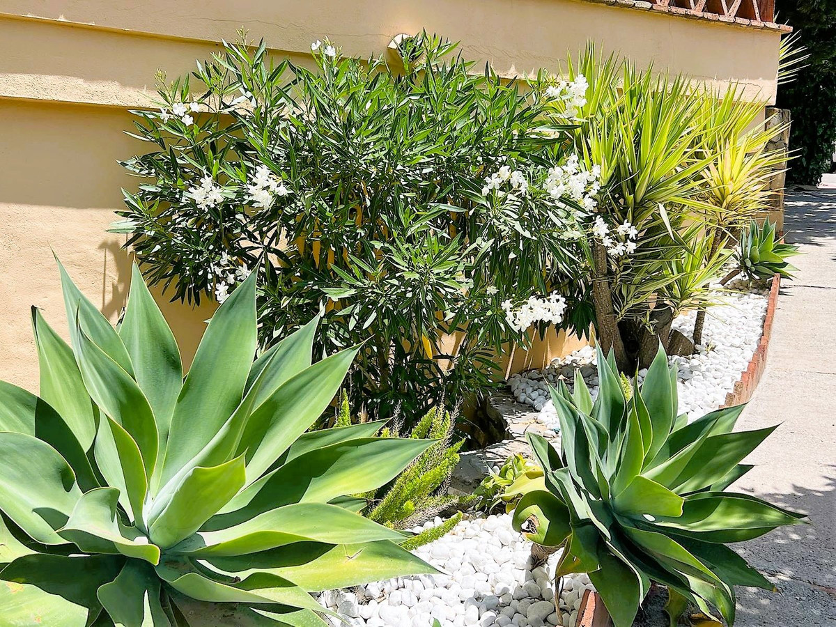 e14e0b1a2fddd02b482245c8229ee7a4 - 26