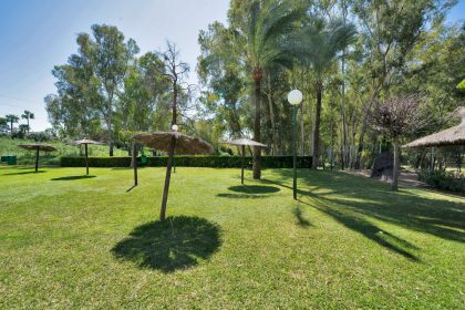 e8b6507fcd73c43215d507ea3f35ae16 - 49