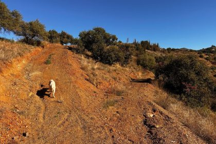 ea5004b4919d8c1140ca820919396bb6 - 9