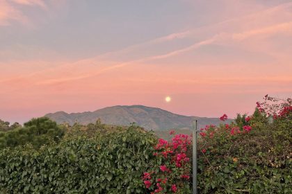 eab498b745f026ed2facf3ddb5c84b31 - 38