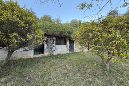 eab498b745f026ed2facf3ddb5c84b31 - 57