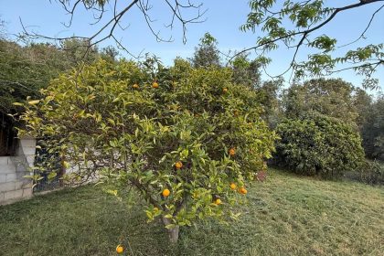 eab498b745f026ed2facf3ddb5c84b31 - 58