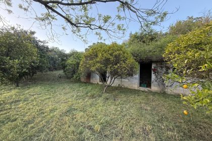 eab498b745f026ed2facf3ddb5c84b31 - 59