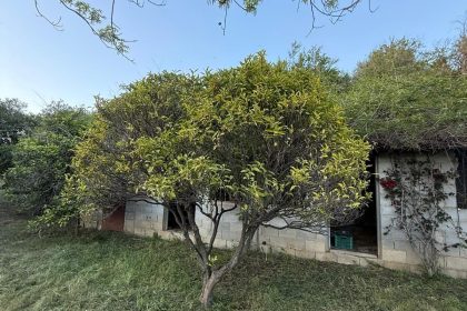 eab498b745f026ed2facf3ddb5c84b31 - 61