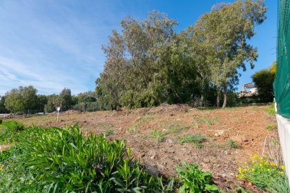 ef59c6346612970f013ef7d13d20947b - 14