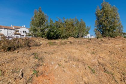 ef59c6346612970f013ef7d13d20947b - 33