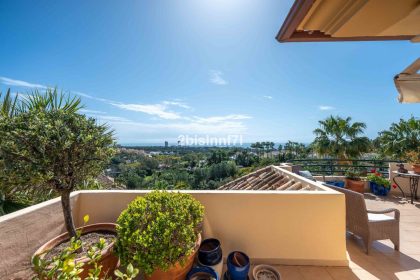 f015e3f7d1f59b643685a6ce073c9ef7 - 24