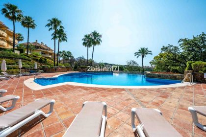 f015e3f7d1f59b643685a6ce073c9ef7 - 39