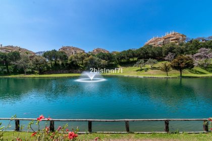 f015e3f7d1f59b643685a6ce073c9ef7 - 44