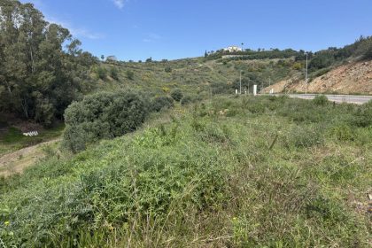 f5eef1814dada3089570cd23e5ed940f - 12