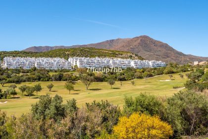 fcb099c96c1c5cf5920000a4400c250e - 32