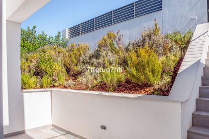 fcb099c96c1c5cf5920000a4400c250e - 35