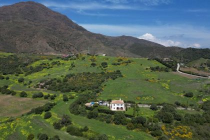 fd921fb12f5d2159fffb3ddb60d82394 - 24