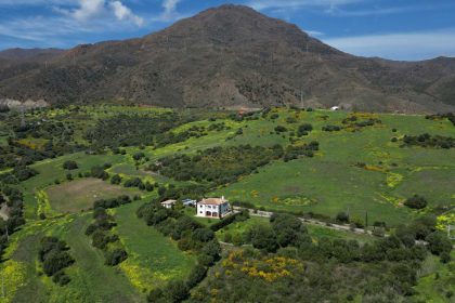 fd921fb12f5d2159fffb3ddb60d82394 - 25