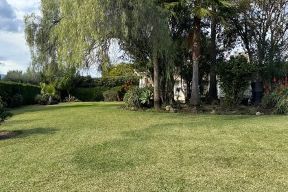 fffb5915692dffac4f364934aa94e0b8 - 16