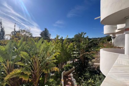 5a231e888f9c6cf59dd4a1f179d43806 - 23