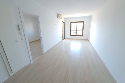 799a059fde38dccbb0a73fe9ba21310f - 3