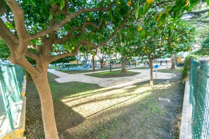 alrededores