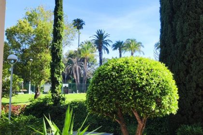 cf33f2850878428b6666fa519316b8f0 - 26