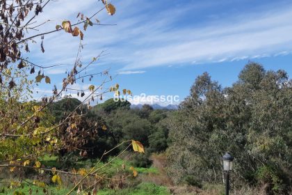7e42876560da190192f4fb05408d2903 - 47