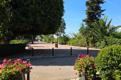 c8027f1a2cd0e5b4f947b53dd5dce8b1 - 24