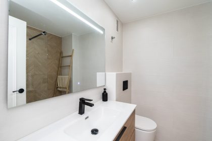dc5ae19060d1a0aecb1e10f836852327 - 13