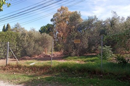 ea050087b65e6b314daa4589b6099f71 - 2